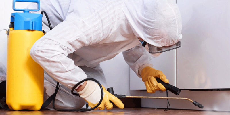 Attia Group One - Disinfestazione